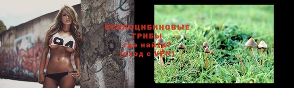 сатива Алзамай