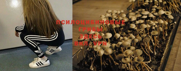 spice Алексин