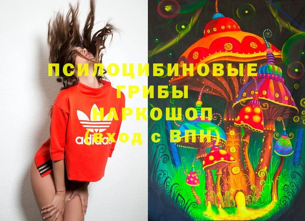 spice Алексин