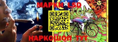 прущие грибы Комсомольск-на-Амуре