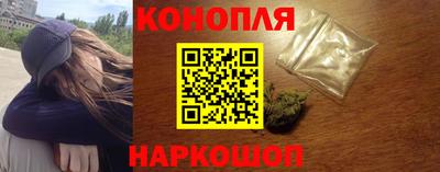 прущие грибы Комсомольск-на-Амуре