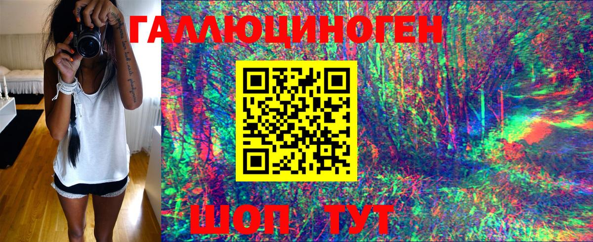 Псилоцибиновые грибы прущие грибы Сунжа