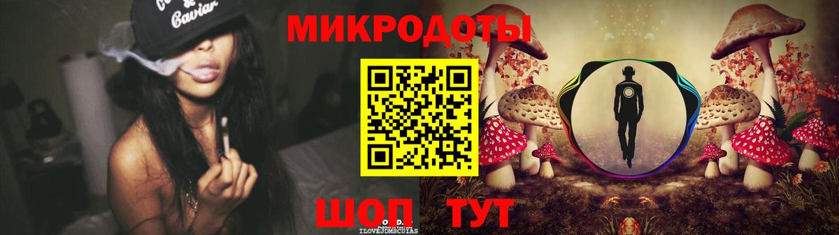 Сунжа  Галлюциногенные грибы Psilocybine cubensis  Вход с VPN 